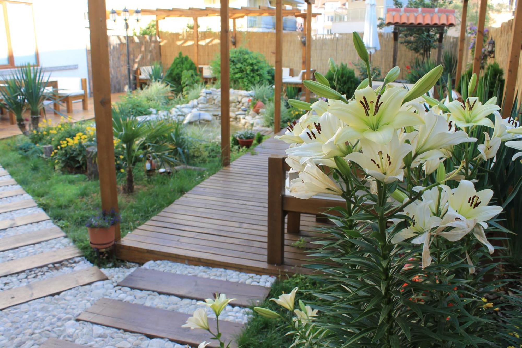 Hotel Yanis Lozenets ภายนอก รูปภาพ